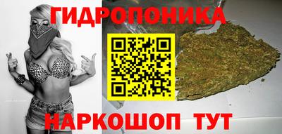 ПСИЛОЦИБИНОВЫЕ ГРИБЫ Гай
