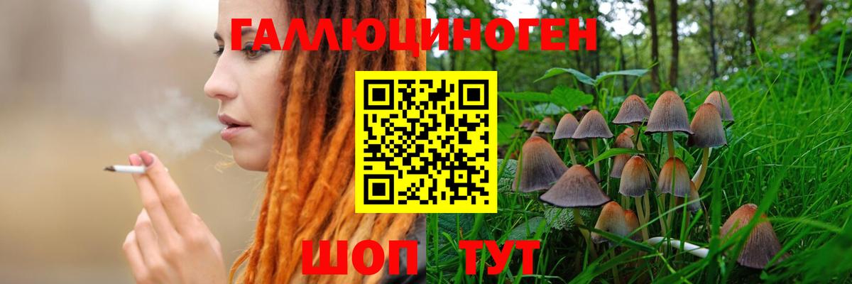 Псилоцибиновые грибы мухоморы  Вход с VPN  Березники 